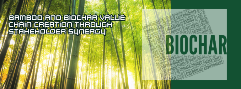 Bamboo and Biochar Value Chain Creation through Stakeholder Synergy ...