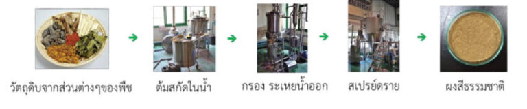 การเตรียมแป้งพิมพ์จากสีธรรมชาติ