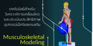 Musculoskeletal Modeling